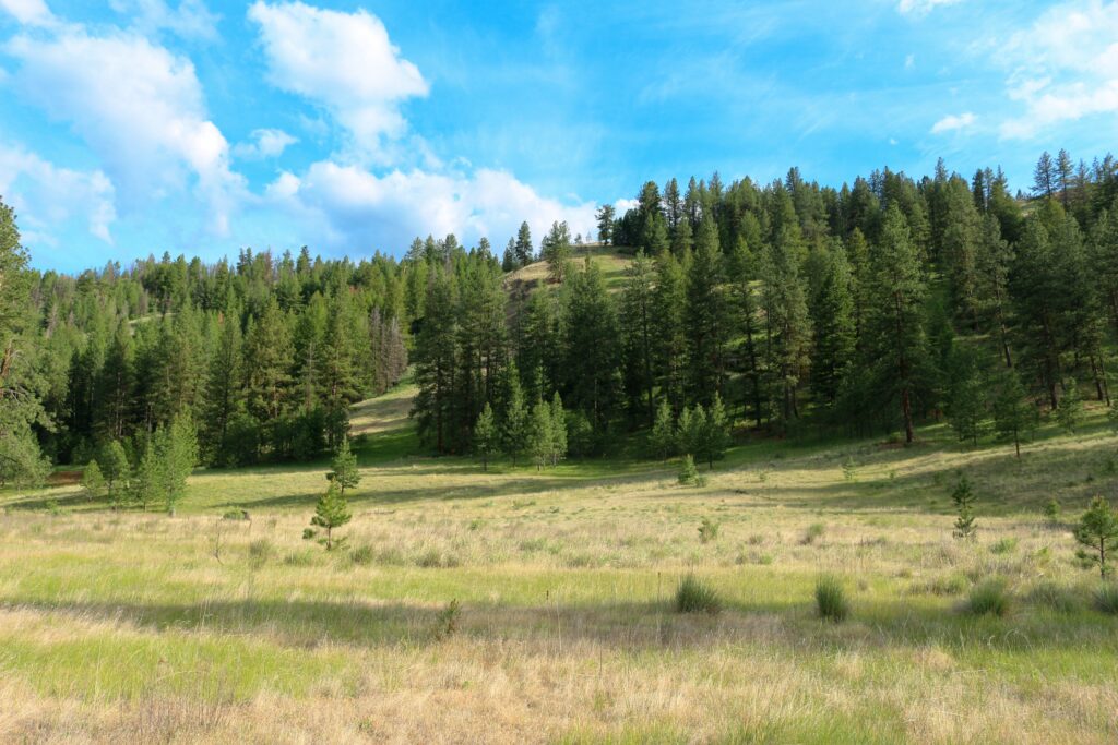 Nearly 10 Acres Of Land For Sale In Washington State