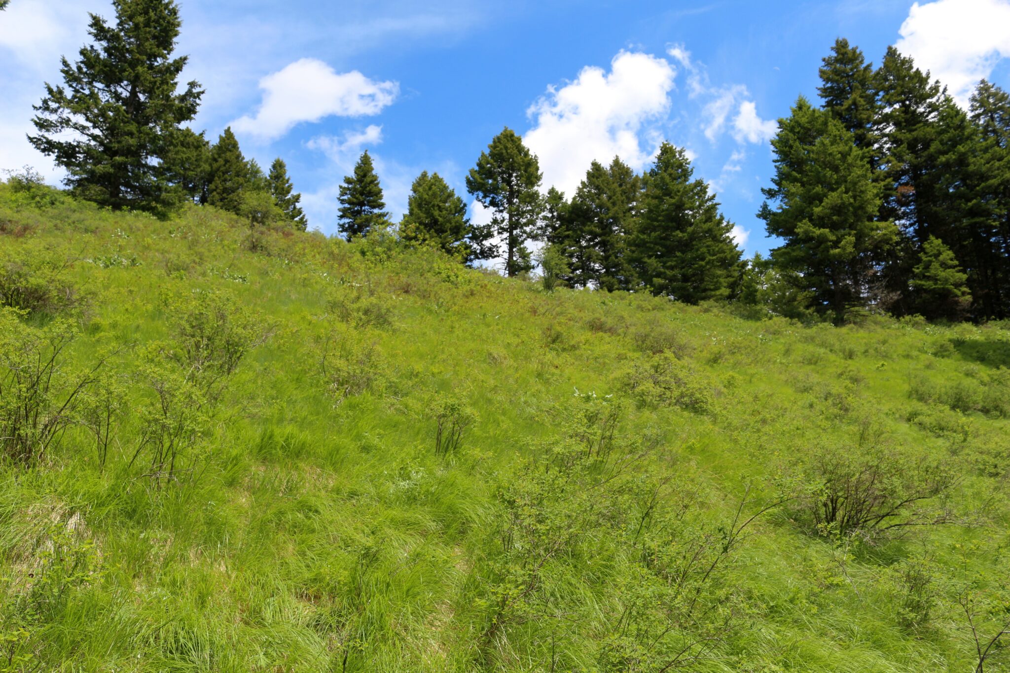 Nearly 10 Acres of land for Sale in Washington State