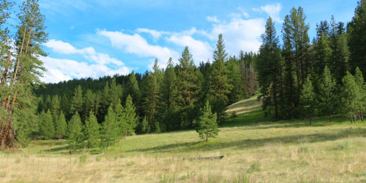 Nearly 10 Acres of land for Sale in Washington State